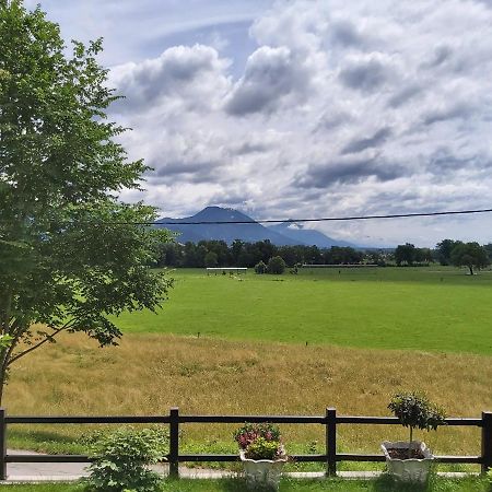 Apartma Arnez 布莱德 外观 照片